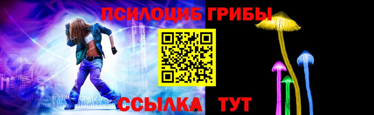 купить   Вход с VPN  Строитель  Галлюциногенные грибы Psilocybine cubensis 